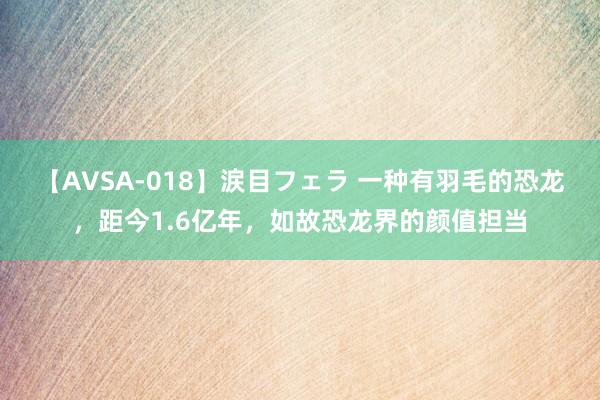 【AVSA-018】涙目フェラ 一种有羽毛的恐龙,距今1.6亿年,如故恐龙界的颜值担当