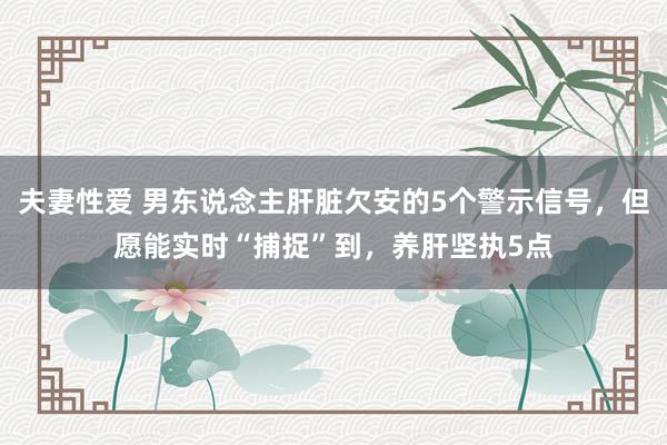 夫妻性爱 男东说念主肝脏欠安的5个警示信号,但愿能实时“捕捉”到,养肝坚执5点