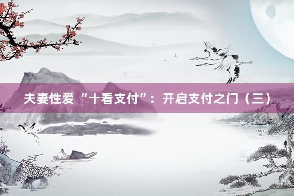 夫妻性爱 “十看支付”:开启支付之门(三)