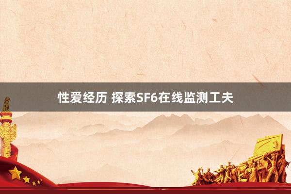 性爱经历 探索SF6在线监测工夫