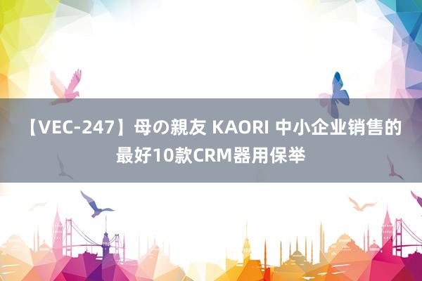 【VEC-247】母の親友 KAORI 中小企业销售的最好10款CRM器用保举