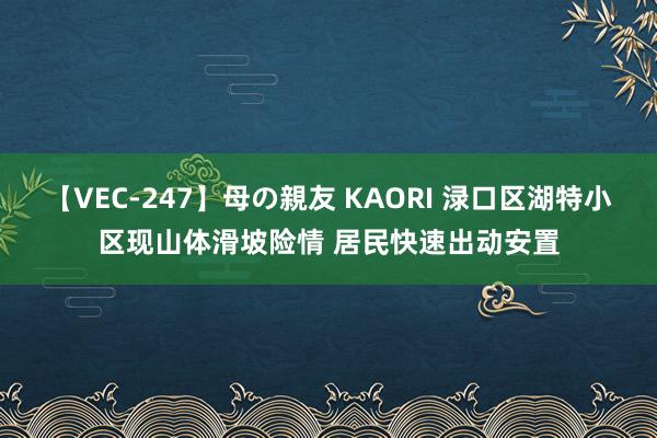 【VEC-247】母の親友 KAORI 渌口区湖特小区现山体滑坡险情 居民快速出动安置