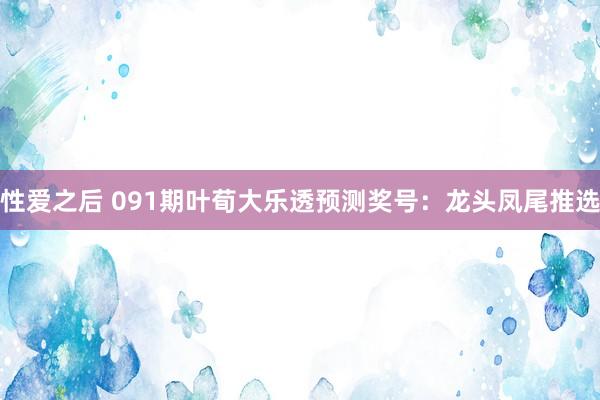 性爱之后 091期叶荀大乐透预测奖号:龙头凤尾推选