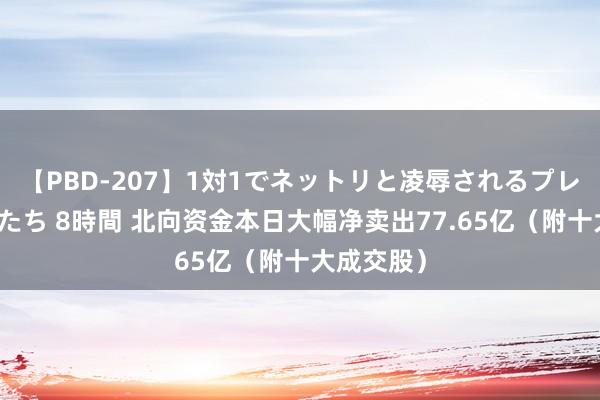 【PBD-207】1対1でネットリと凌辱されるプレミア女優たち 8時間 北向资金本日大幅净卖出77.65亿(附十大成交股)