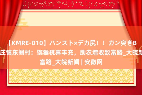 【KMRE-010】パンスト×デカ尻!!ガン突きBEST 萧县新庄镇东阁村:猕猴桃喜丰充,助农增收致富路_大皖新闻 | 安徽网