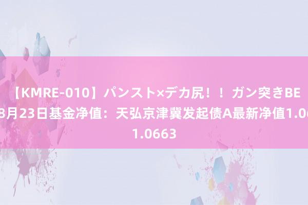 【KMRE-010】パンスト×デカ尻!!ガン突きBEST 8月23日基金净值:天弘京津冀发起债A最新净值1.0663