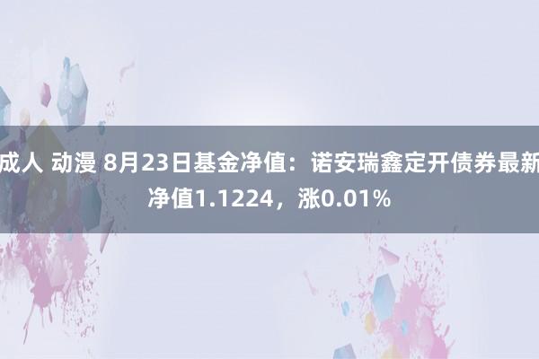 成人 动漫 8月23日基金净值:诺安瑞鑫定开债券最新净值1.1224,涨0.01%