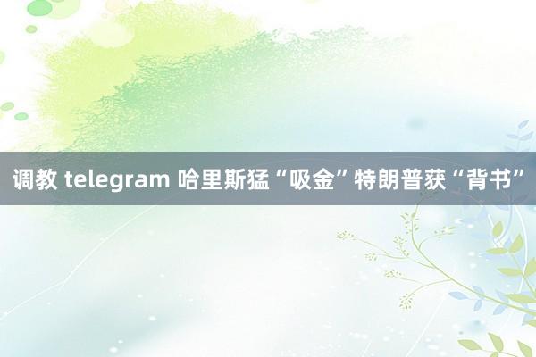 调教 telegram 哈里斯猛“吸金” 特朗普获“背书”