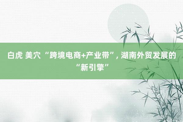 白虎 美穴 “跨境电商+产业带”, 湖南外贸发展的“新引擎”