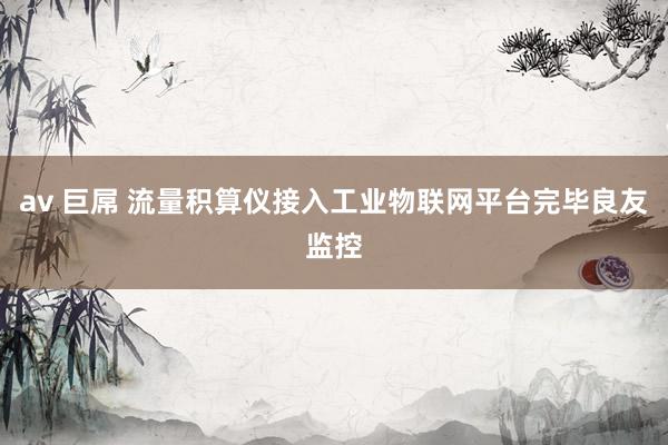 av 巨屌 流量积算仪接入工业物联网平台完毕良友监控