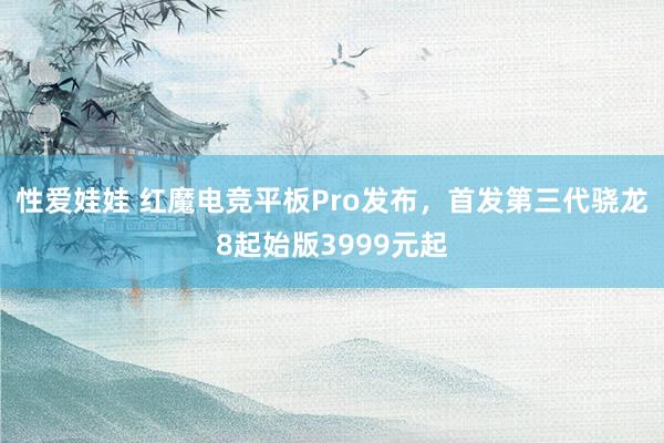 性爱娃娃 红魔电竞平板Pro发布,首发第三代骁龙8起始版3999元起