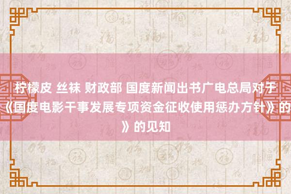 柠檬皮 丝袜 财政部 国度新闻出书广电总局对于印发《国度电影干事发展专项资金征收使用惩办方针》的见知