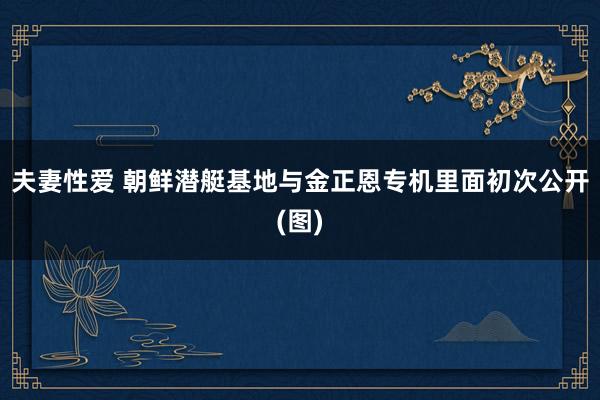 夫妻性爱 朝鲜潜艇基地与金正恩专机里面初次公开(图)