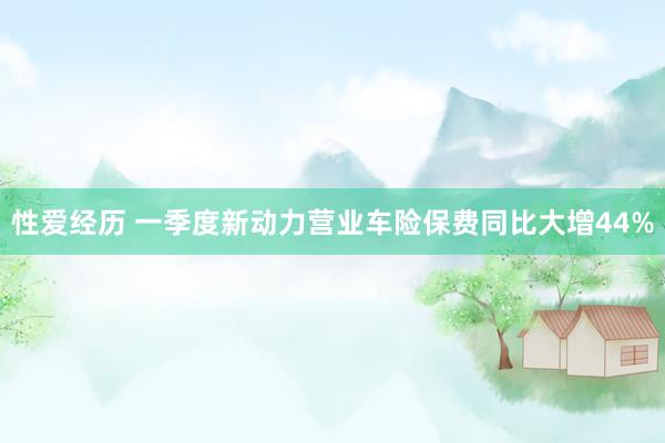 性爱经历 一季度新动力营业车险保费同比大增44%