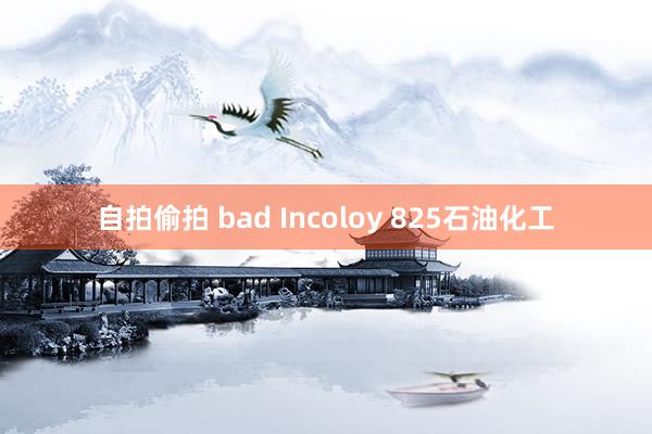 自拍偷拍 bad Incoloy 825石油化工