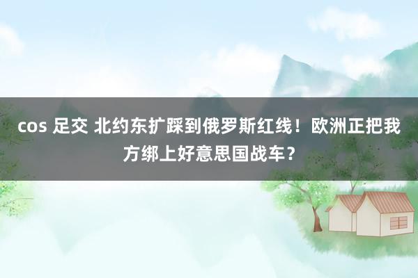 cos 足交 北约东扩踩到俄罗斯红线!欧洲正把我方绑上好意思国战车?