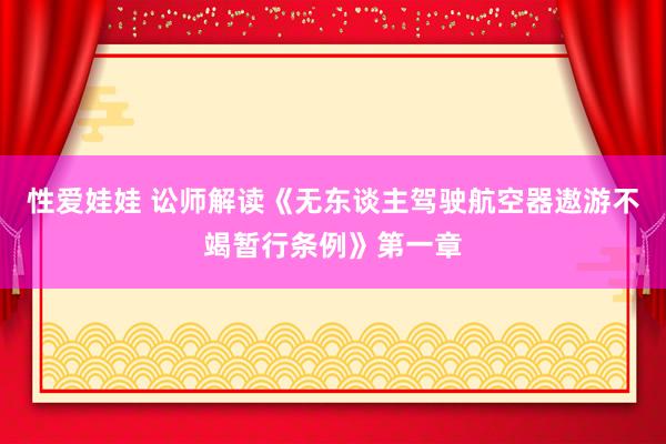 性爱娃娃 讼师解读《无东谈主驾驶航空器遨游不竭暂行条例》第一章
