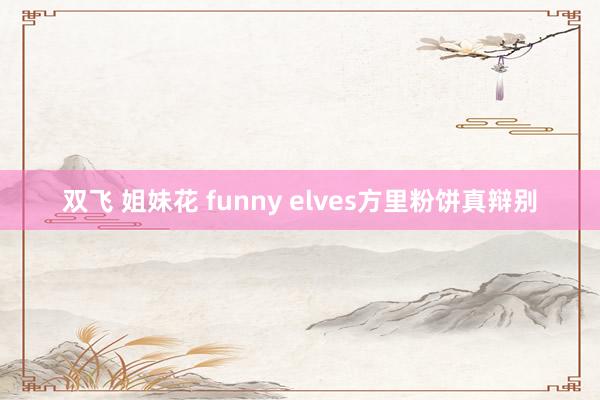 双飞 姐妹花 funny elves方里粉饼真辩别