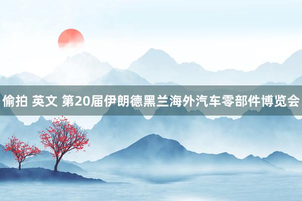 偷拍 英文 第20届伊朗德黑兰海外汽车零部件博览会