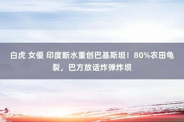 白虎 女優 印度断水重创巴基斯坦!80%农田龟裂,巴方放话炸弹炸坝