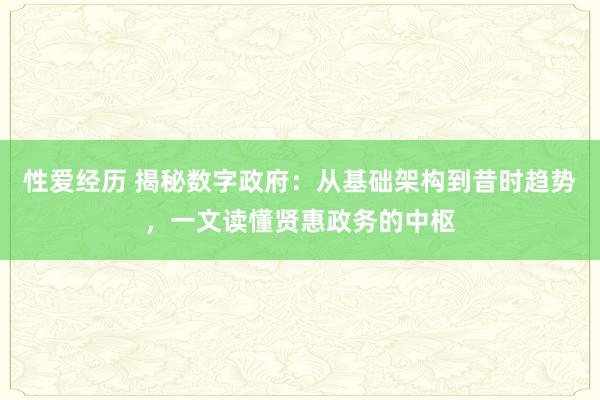性爱经历 揭秘数字政府:从基础架构到昔时趋势,一文读懂贤惠政务的中枢