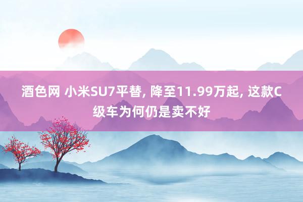 酒色网 小米SU7平替， 降至11.99万起， 这款C级车为何仍是卖不好
