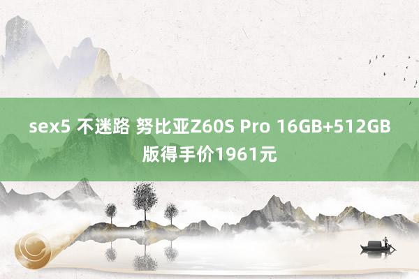 sex5 不迷路 努比亚Z60S Pro 16GB+512GB版得手价1961元