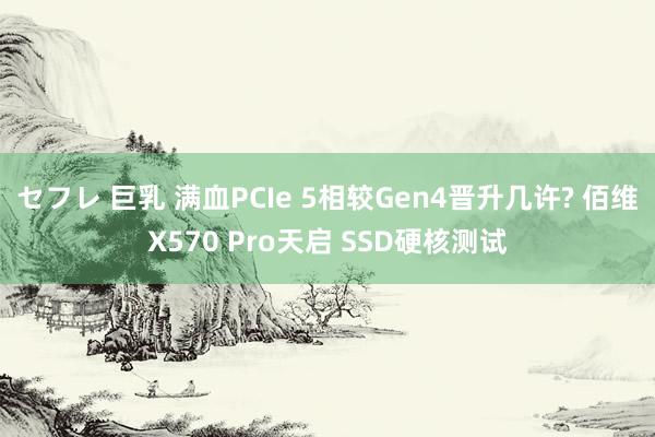 セフレ 巨乳 满血PCIe 5相较Gen4晋升几许? 佰维X570 Pro天启 SSD硬核测试