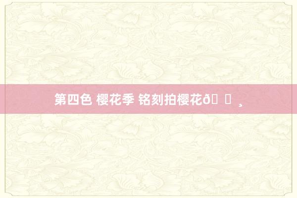 第四色 樱花季 铭刻拍樱花🌸