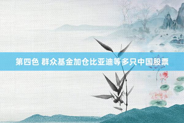 第四色 群众基金加仓比亚迪等多只中国股票
