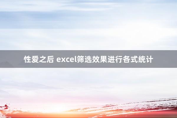 性爱之后 excel筛选效果进行各式统计