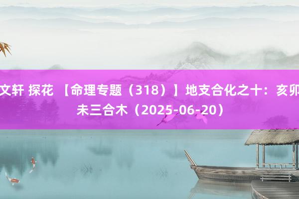 文轩 探花 【命理专题（318）】地支合化之十：亥卯未三合木（2025-06-20）